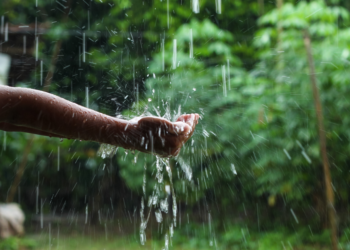 برسات کے موسم میں بیماریوں سے بچاؤ کے لیے خصوصی احتیاطیں