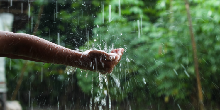 برسات کے موسم میں بیماریوں سے بچاؤ کے لیے خصوصی احتیاطیں 1 برسات کے موسم میں بیماریوں سے بچاؤ کے لیے خصوصی احتیاطیں