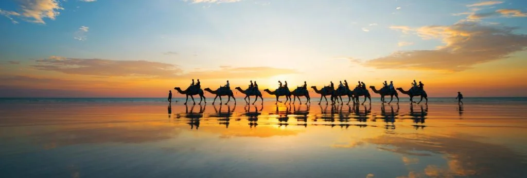 Explore the Tropical World with the Love of Your Life.