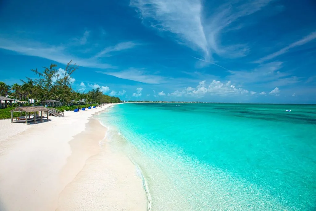 Explore the Tropical World with the Love of Your Life.