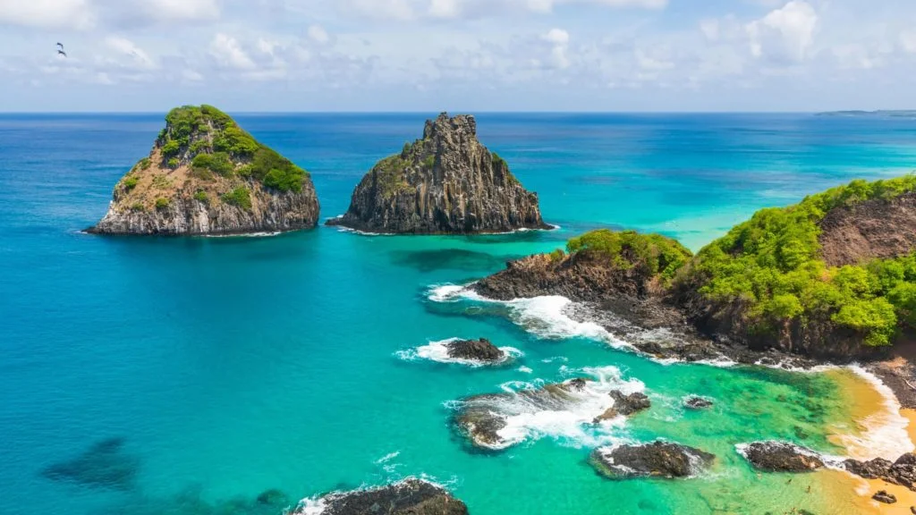 Explore the Tropical World with the Love of Your Life.
