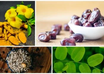 Unlocking Wellness: Traditional Pakistani Superfoods for a Healthy Lifestyle 6 Unlocking Wellness: Traditional Pakistani Superfoods for a Healthy Lifestyle